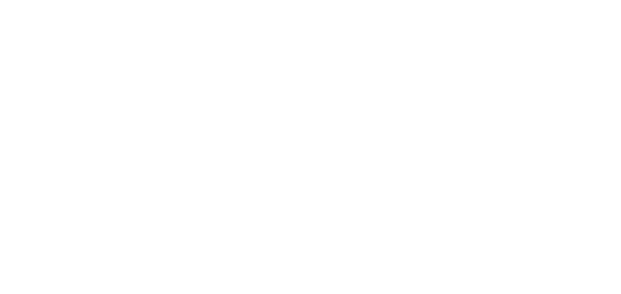DMK Project Solutions logo